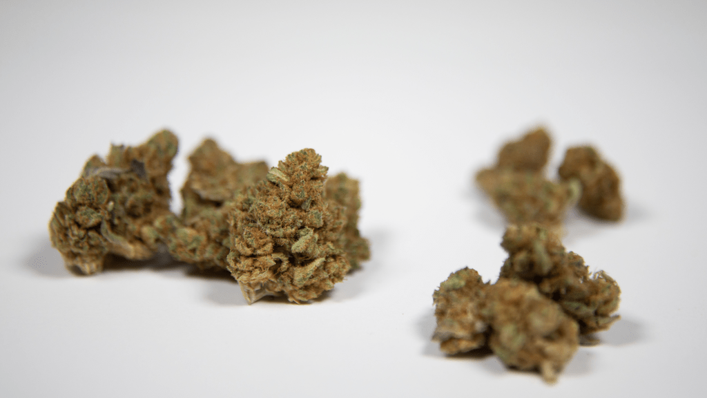 How Recreational Cannabis Would Change Bal Harbour Tourism